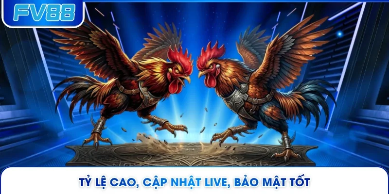 Tỷ lệ cao, cập nhật live, bảo mật tốt